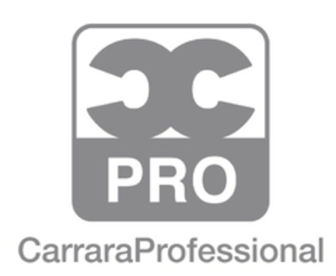 CC PRO CARRARA PROFESSIONAL Logo (EUIPO, 22.06.2021)