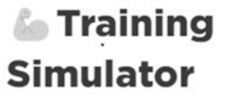 Training Simulator Logo (EUIPO, 13.10.2022)