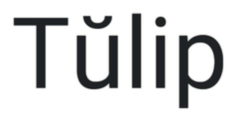 Tulip Logo (EUIPO, 04.08.2023)