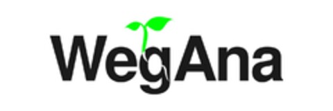 WegAna Logo (EUIPO, 08.05.2024)