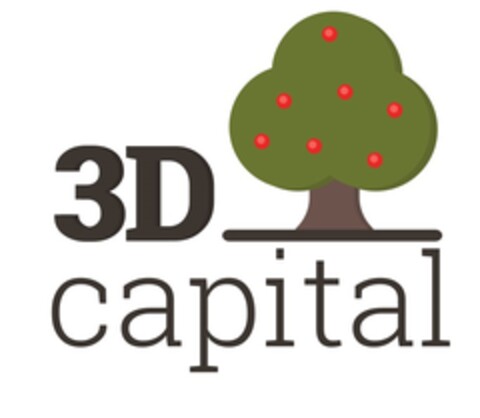 3D CAPITAL Logo (EUIPO, 17.04.2019)