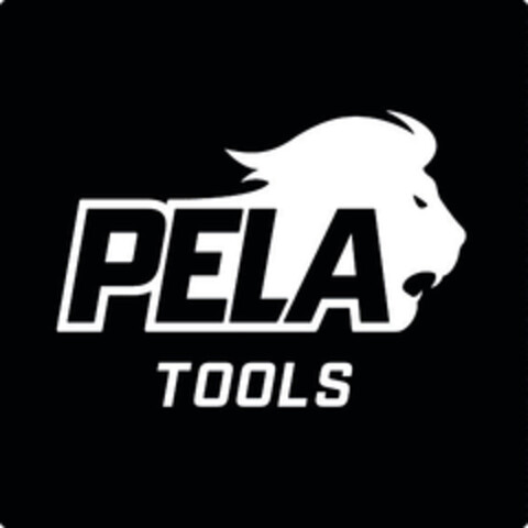 PELA TOOLS Logo (EUIPO, 26.10.2021)