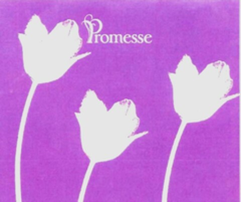 Promesse Logo (EUIPO, 07.10.2005)