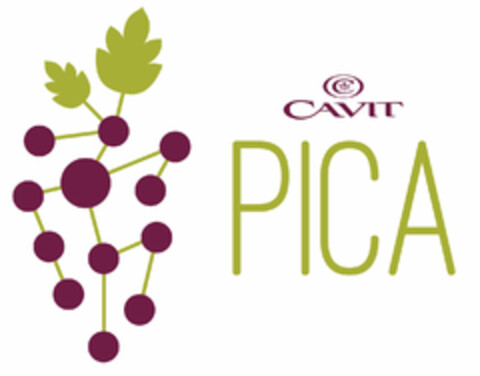 C CAVIT PICA Logo (EUIPO, 03/17/2016)
