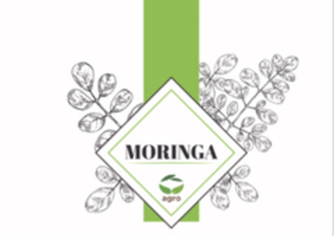 MORINGA AGRO Logo (EUIPO, 03/21/2019)