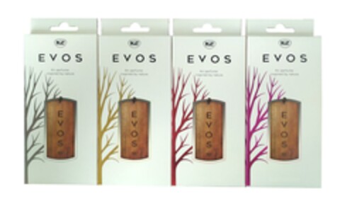 K2 EVOS Air perfume inspired by nature Logo (EUIPO, 09.02.2023)