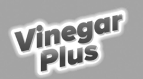 Vinegar Plus Logo (EUIPO, 01/02/2024)