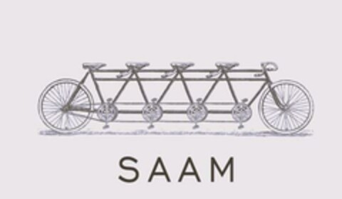 SAAM Logo (EUIPO, 14.05.2024)