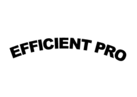 EFFICIENT PRO Logo (EUIPO, 25.03.2024)