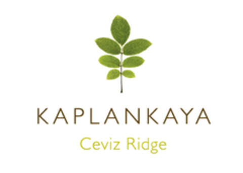 KAPLANKAYA Ceviz Ridge Logo (EUIPO, 04/20/2007)