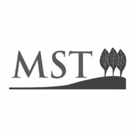 MST Logo (EUIPO, 10.06.2009)