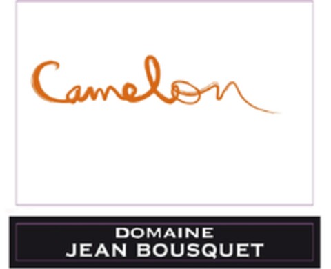 CAMELON DOMAINE JEAN BOUSQUET Logo (EUIPO, 14.01.2010)