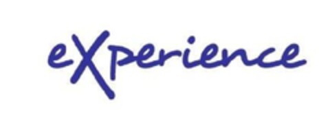 experience Logo (EUIPO, 11/18/2010)