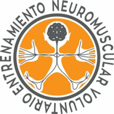 ENTRENAMIENTO NEUROMUSCULAR VOLUNTARIO Logo (EUIPO, 06/15/2016)
