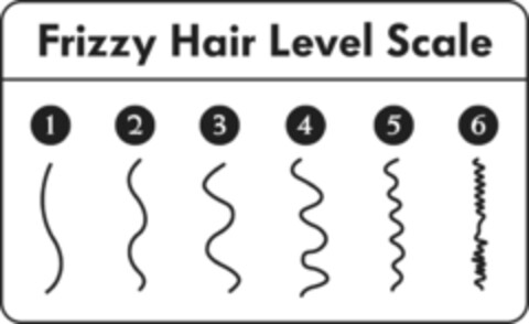 Frizzy Hair Level Scale Logo (EUIPO, 17.03.2017)