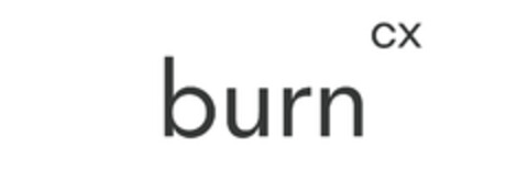 burn cx Logo (EUIPO, 10/13/2021)