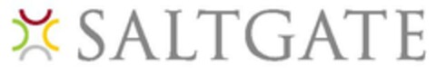 SALTGATE Logo (EUIPO, 07/17/2007)