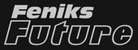 Feniks Future Logo (EUIPO, 08.03.2008)