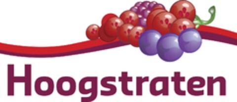 HOOGSTRATEN Logo (EUIPO, 04/16/2013)