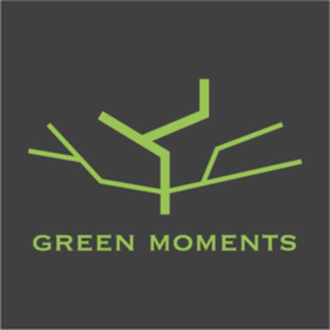 GREEN MOMENTS Logo (EUIPO, 16.07.2020)