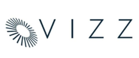 VIZZ Logo (EUIPO, 09.04.2024)