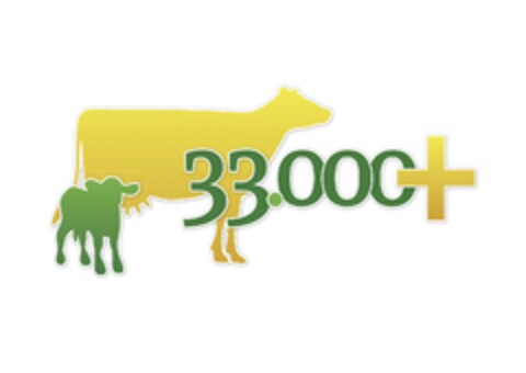 33.000+ Logo (EUIPO, 13.06.2012)