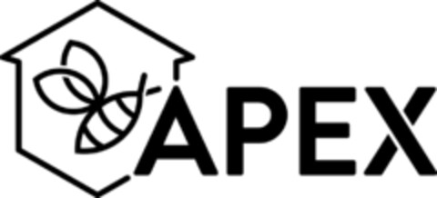 APEX Logo (EUIPO, 01/11/2019)