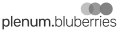 plenum.bluberries Logo (EUIPO, 03/17/2020)