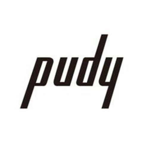 PUDY Logo (EUIPO, 03.08.2020)