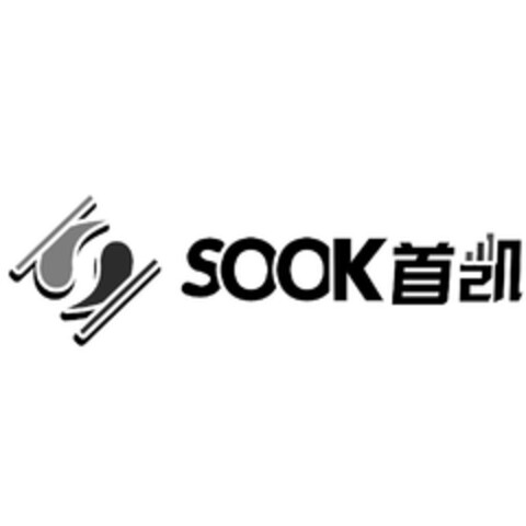 SOOK Logo (EUIPO, 03/20/2023)