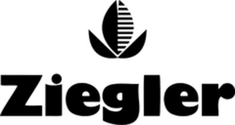 Ziegler Logo (EUIPO, 22.01.2024)