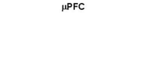 μPFC Logo (EUIPO, 09.05.2007)