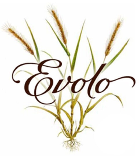 EVOLO Logo (EUIPO, 03/02/2012)