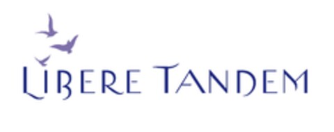 LIBERE TANDEM Logo (EUIPO, 25.01.2013)