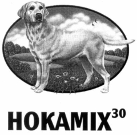 HOKAMIX30 Logo (EUIPO, 09/03/1998)