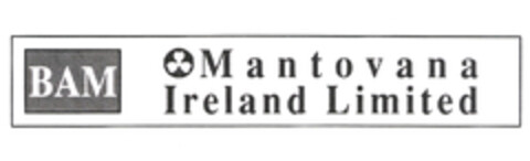 BAM Mantovana Ireland Limited Logo (EUIPO, 12/24/2002)