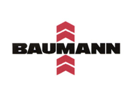BAUMANN Logo (EUIPO, 03.01.2005)