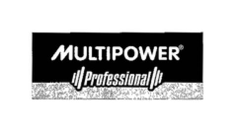 MULTIPOWER Professional Logo (EUIPO, 05/08/2007)