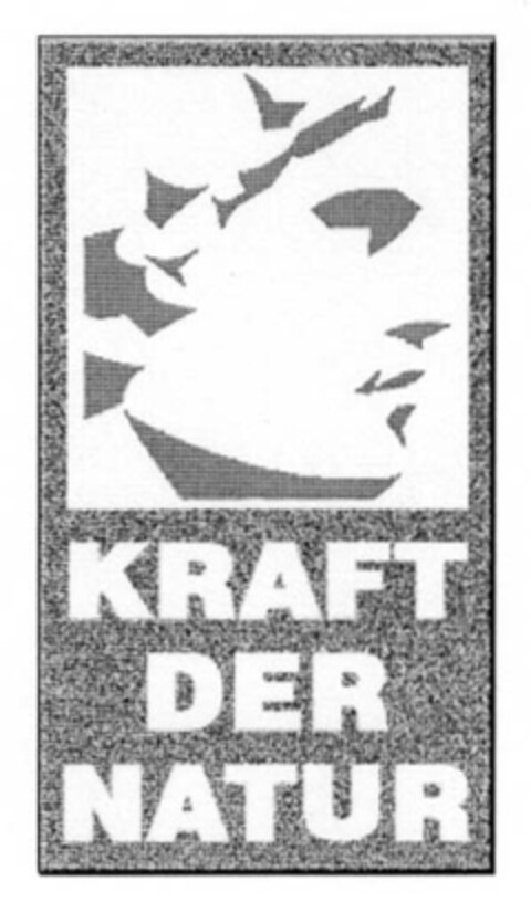 KRAFT DER NATUR Logo (EUIPO, 25.10.2007)