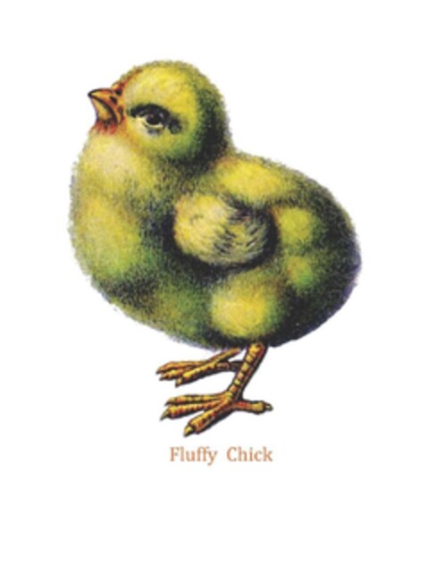 Fluffy Chick Logo (EUIPO, 20.08.2010)