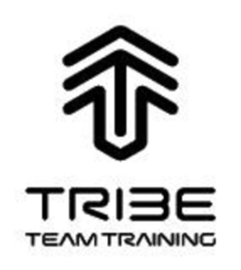 TRIBE TEAM TRAINING Logo (EUIPO, 27.09.2017)