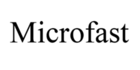 Microfast Logo (EUIPO, 11/06/2017)