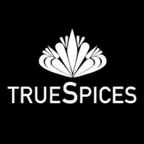 TRUE SPICES Logo (EUIPO, 29.12.2020)