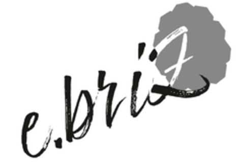 e.briz Logo (EUIPO, 20.03.2024)