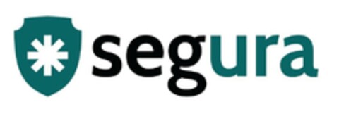 SEGURA Logo (EUIPO, 29.05.2024)