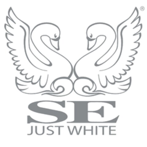 SE JUST WHITE Logo (EUIPO, 12/04/2009)