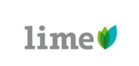 LIME Logo (EUIPO, 17.06.2015)