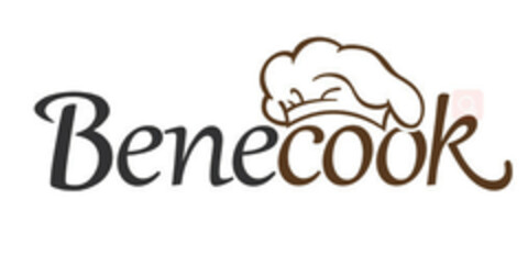 Benecook Logo (EUIPO, 11.03.2019)