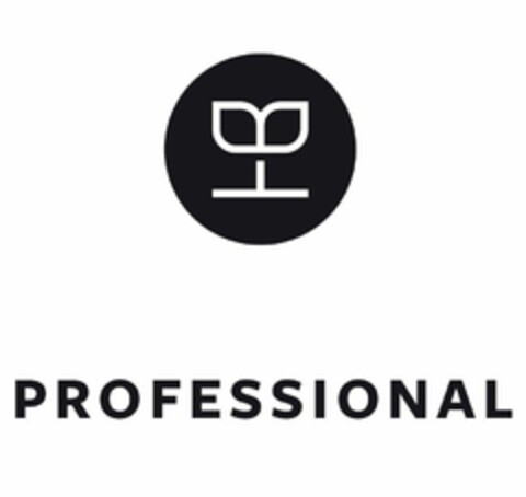 PROFESSIONAL Logo (EUIPO, 30.10.2020)