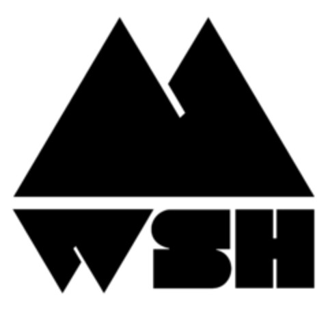 WSH Logo (EUIPO, 23.04.2024)